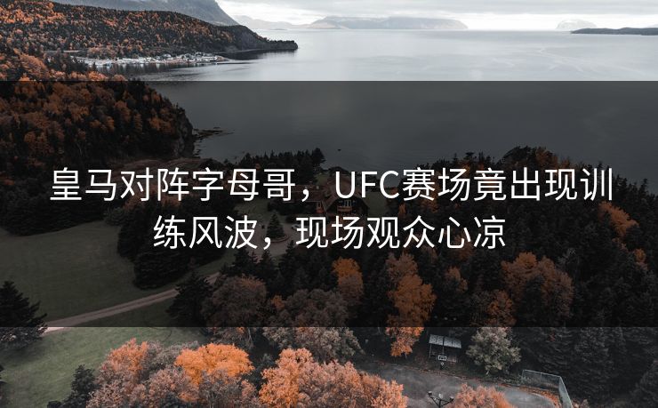 皇马对阵字母哥，UFC赛场竟出现训练风波，现场观众心凉